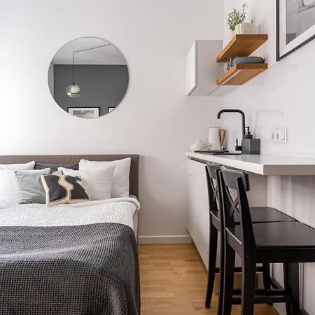 Elegant With Airconditioner And Elevator, 9 Min Walk To Old Town Apartment Riga